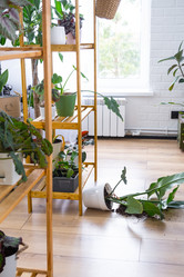 Similar image 21490826