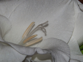 Similar image 21490832