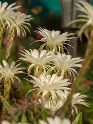 Similar image 21490835