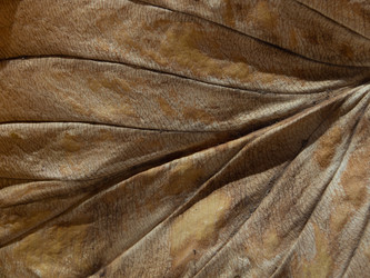 Similar image 21490836