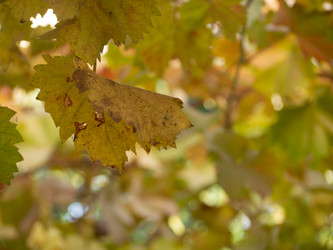 Similar image 21490837