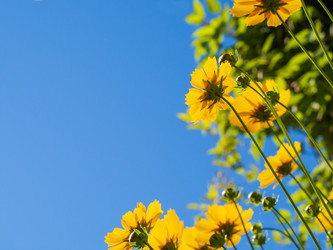 Similar image 21490840