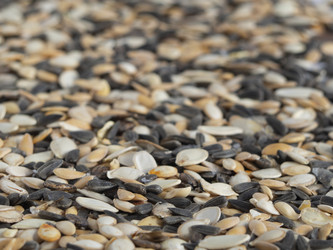 Similar image 21490842