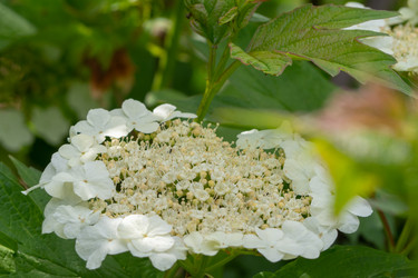 Similar image 21490843