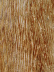 Similar image 21490845