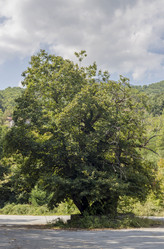 Similar image 21495533