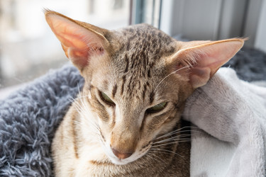 Similar image 21491028