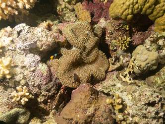 Similar image 21491029