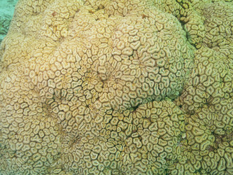 Similar image 21491030