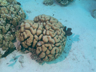 Similar image 21491032