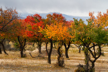 Similar image 21491034