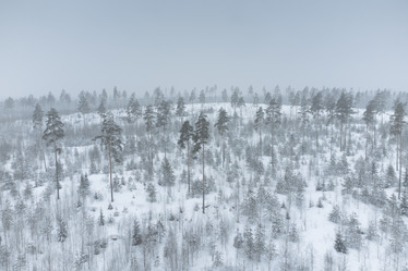 Similar image 21491037