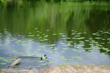 Similar image 21491102