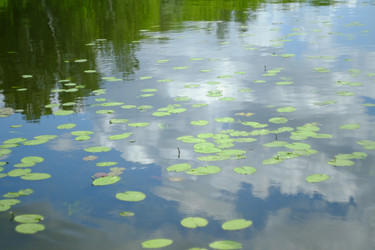 Similar image 21491103