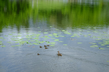 Similar image 21491104