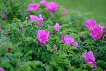 Similar image 21491107