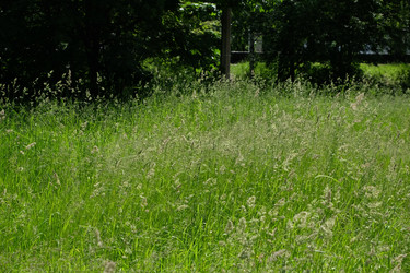 Similar image 21491109