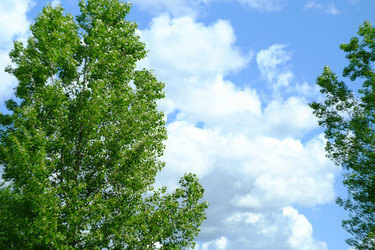 Similar image 21491110