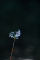 Similar image 21491111