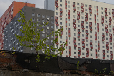 Similar image 21491410