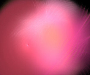 Similar image 21501816