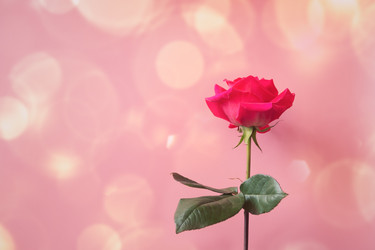 Similar image 21491442