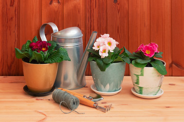 Similar image 21491447