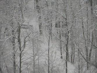 Similar image 21491534