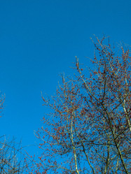 Similar image 21491540