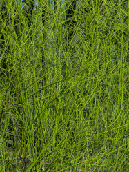 Similar image 21491710