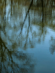 Similar image 21491711