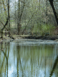 Similar image 21491712