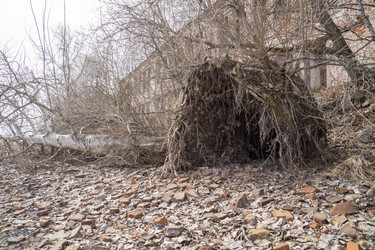 Similar image 21491470