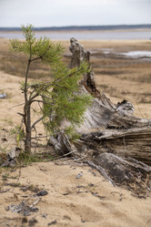 Similar image 21491474