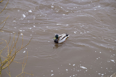 Similar image 21491476