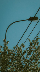 Similar image 21491502