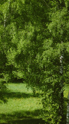 Similar image 21491503