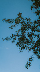 Similar image 21491507