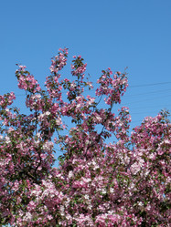 Similar image 21491509