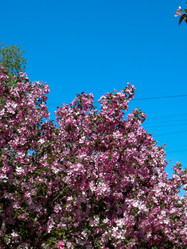 Similar image 21491510