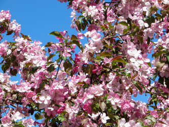 Similar image 21491511