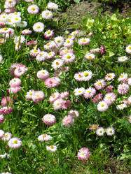 Similar image 21491512