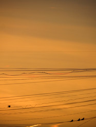 Similar image 21491514