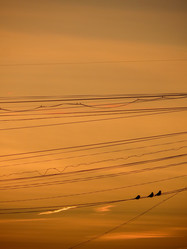 Similar image 21491516