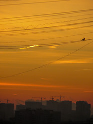 Similar image 21491520