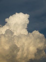 Similar image 21491523