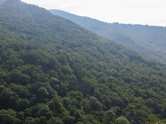 Similar image 21492761