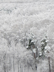 Similar image 21491528