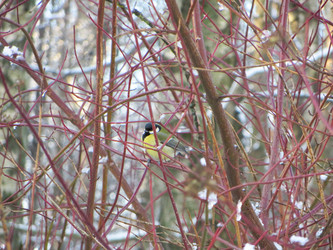 Similar image 21493488