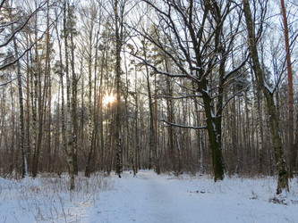 Similar image 21492765